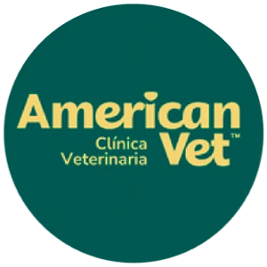 American Vet