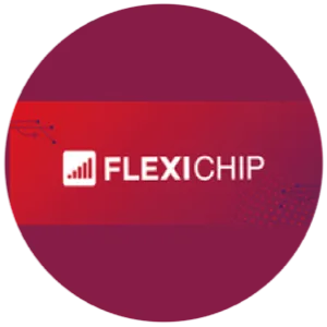 Flexichip